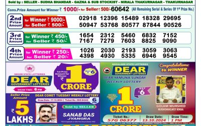 Dear yamuna sunday weekly lottery 29.12.24 1pm result