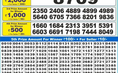 Dear 10 orange wednesday weekly lottery 8.1.25 1.30pm result