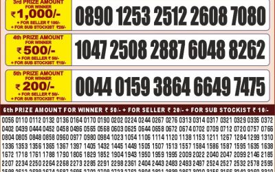 Punjab state dear 20 monthly lottery 28.1.25 6pm result