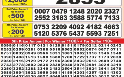 Punjab state dear 10 weekly lottery result,6pm,29.1.2025
