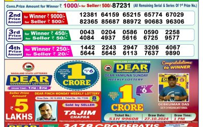 Dear yamuna sunday weekly lottery 12.1.25 1pm result