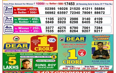 Dear goose Tuesday weekly lottery 14.1.25 8pm result