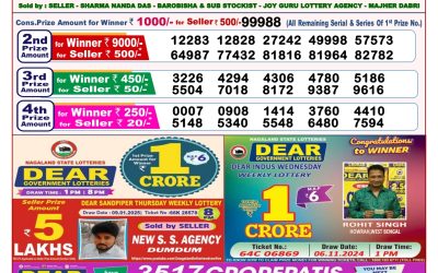 Dear goose Tuesday weekly lottery 21.1.25 8pm result