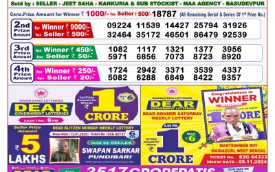 Dear seagull Friday weekly lottery 24.1.25 8pm result