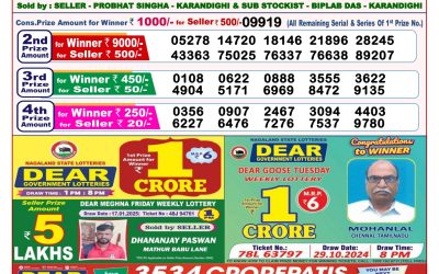 Dear pelican wednesday weekly lottery 29.1.25 8pm result