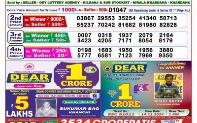 Dear seagull Friday weekly lottery 31.1.25 8pm result