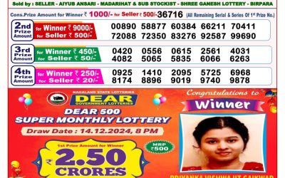 Dear stork saturday weekly lottery 1.2.25 8pm result