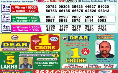 Dear yamuna sunday weekly lottery 2.2.25 1pm result