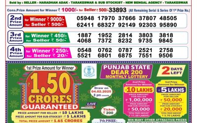 Dear toucan sunday weekly lottery 2.2.25 8pm result