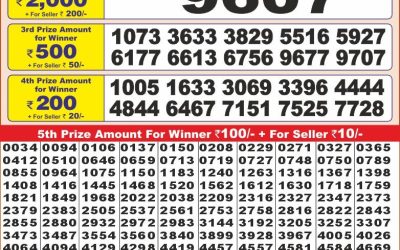 Punjab state dear 10 lottery 4.2.25 6pm result