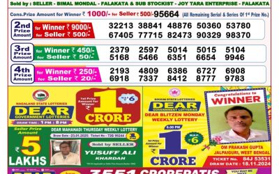 Dear seagull Friday weekly lottery 7.2.25 8pm result