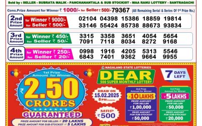 Dear stork saturday weekly lottery 8.2.25 8pm result