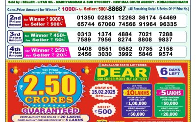 Dear yamuna sunday weekly lottery 9.2.25 1pm result