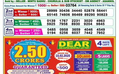 Dear godavari Tuesday weekly lottery 11.2.25 1pm result