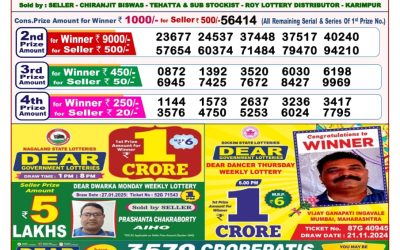 Dear goose Tuesday weekly lottery 11.2.25 8pm result