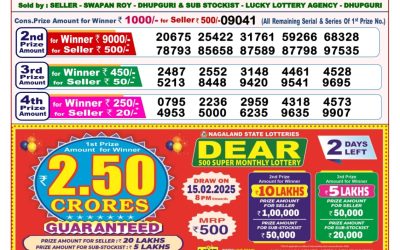 Dear sandpiper Thursday weekly lottery 13.2.25 8pm result