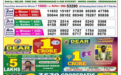 Dear seagull Friday weekly lottery 14.2.25 8pm result
