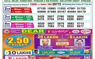 Dear yamuna sunday weekly lottery 16.2.25 1pm result