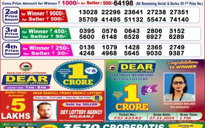 Dear toucan sunday weekly lottery 16.2.25 8pm result