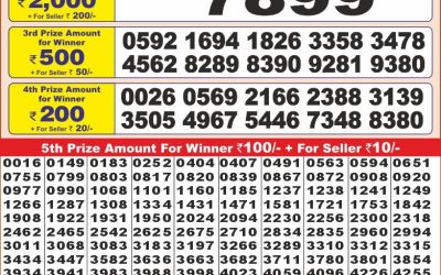 Punjab state dear 10 lottery 18.2.25 6pm result