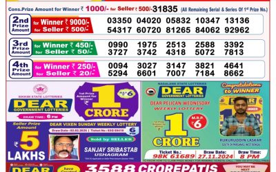 Dear goose Tuesday weekly lottery 18.2.25 8pm result