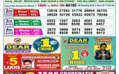 Dear indus wednesday weekly lottery 19.2.25 1pm result