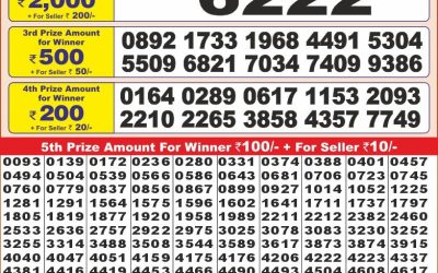 Punjab state dear 10 weekly lottery result,6pm,19.2.2025