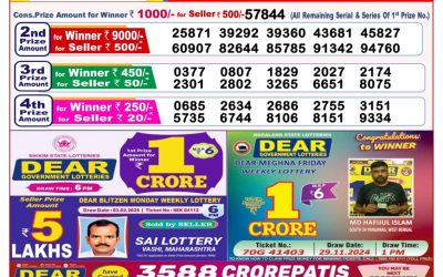 Dear pelican wednesday weekly lottery 19.2.25 8pm result