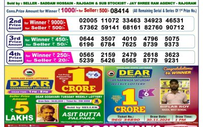 Dear Dancer Thursday weekly lottery 20.2.25 6pm result