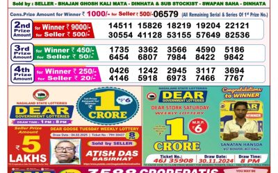 Dear seagull Friday weekly lottery 21.2.25 8pm result
