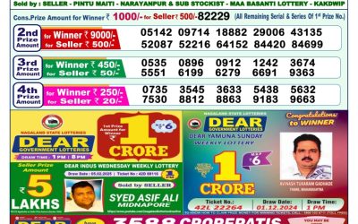 Dear narmada saturday weekly lottery 22.2.25 1pm result