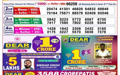 Dear stork saturday weekly lottery 22.2.25 8pm result
