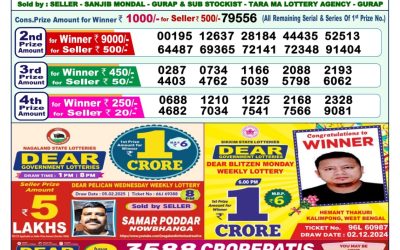 Dear yamuna sunday weekly lottery 23.2.25 1pm result