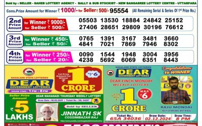 Dear vixen sunday weekly lottery 23.2.25 6pm result