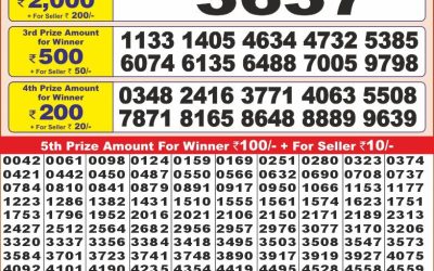 Punjab State Dear 10 sunday Weekly Lottery 23.2.25 6PM Result