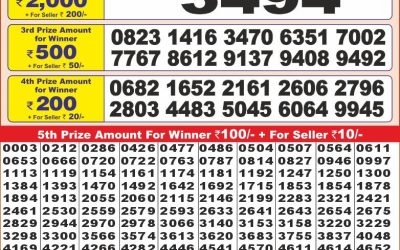 Punjab state dear 10 lottery 25.2.25 6pm result