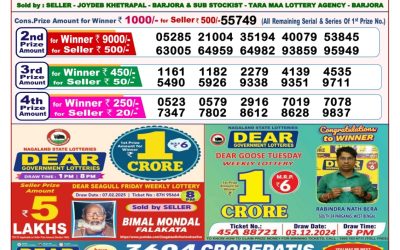 Dear goose Tuesday weekly lottery 25.2.25 8pm result