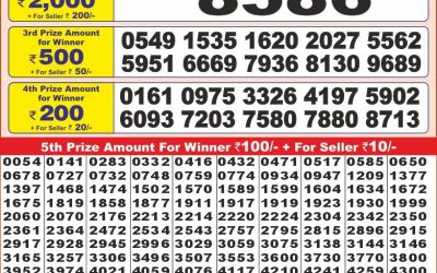 Punjab state dear 10 weekly lottery result,6pm,26.2.2025