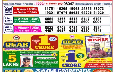 Dear seagull Friday weekly lottery 28.2.25 8pm result