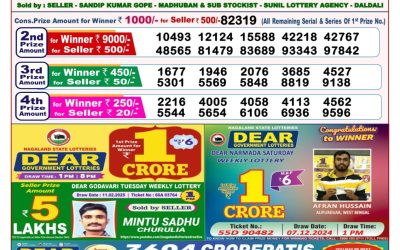 Dear stork saturday weekly lottery 1.3.25 8pm result