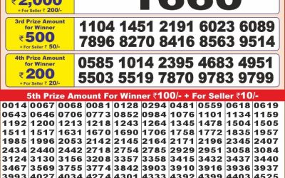 Punjab State Dear 10 sunday Weekly Lottery 2.3.25 6PM Result