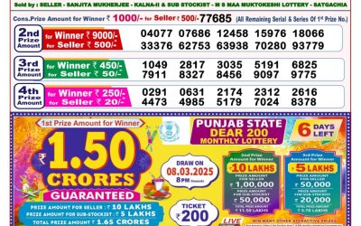 Dear toucan sunday weekly lottery 2.3.25 8pm result