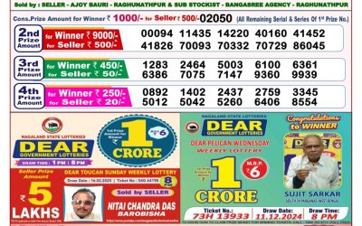 Dear seagull Friday weekly lottery 7.3.25 8pm result