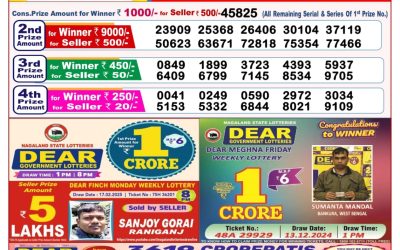 Dear stork saturday weekly lottery 8.3.25 8pm result