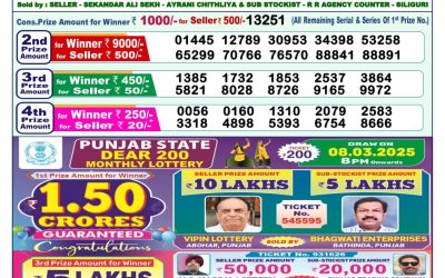 Dear yamuna sunday weekly lottery 9.3.25 1pm result