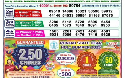 Dear godavari Tuesday weekly lottery 11.3.25 1pm result
