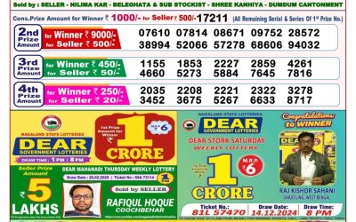 Dear goose Tuesday weekly lottery 11.3.25 8pm result
