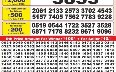 Punjab State Dear 10 friday Weekly Lottery 14.3.25 6PM Result