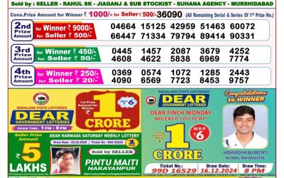 Dear seagull Friday weekly lottery 14.3.25 8pm result
