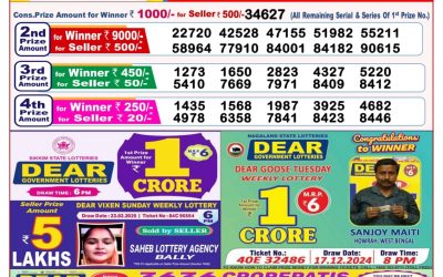 Dear stork saturday weekly lottery 15.3.25 8pm result